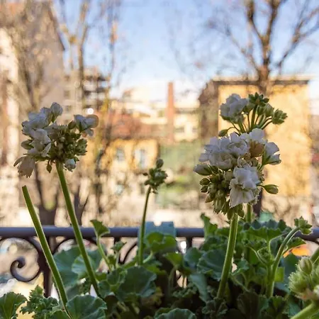 Ampio A Due Passi Dal Centro Storico * Torino
