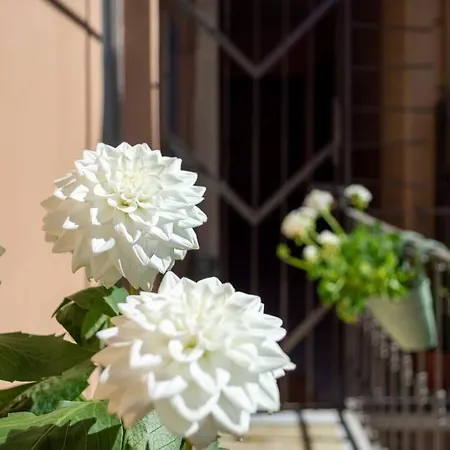 Ampio A Due Passi Dal Centro Storico *