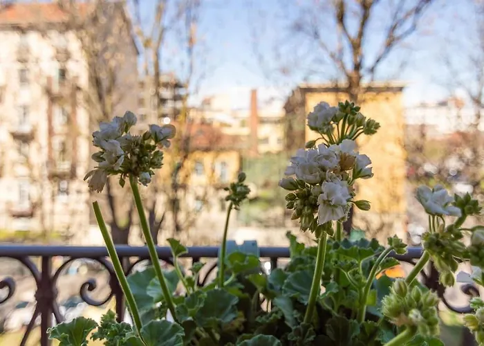 Ampio A Due Passi Dal Centro Storico * Torino