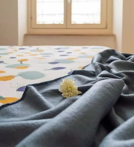 Ampio A Due Passi Dal Centro Storico * Torino