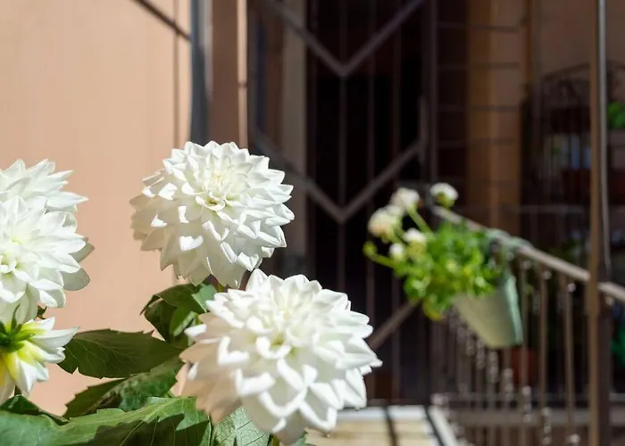 Ampio A Due Passi Dal Centro Storico *