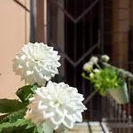 Ampio A Due Passi Dal Centro Storico *